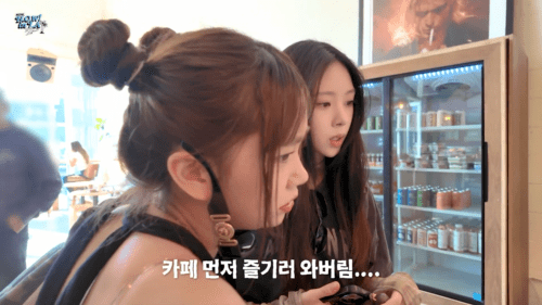 서바이벌 경력직 멤버와 아닌 멤버 차이 .jpg | 인스티즈