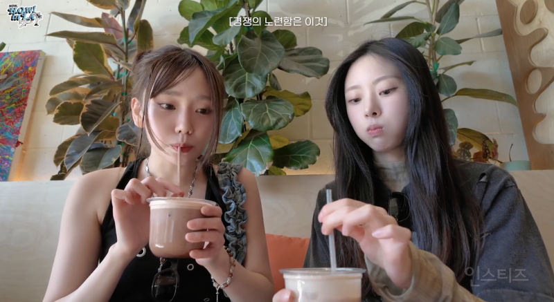 서바이벌 경력직 멤버와 아닌 멤버 차이 .jpg | 인스티즈