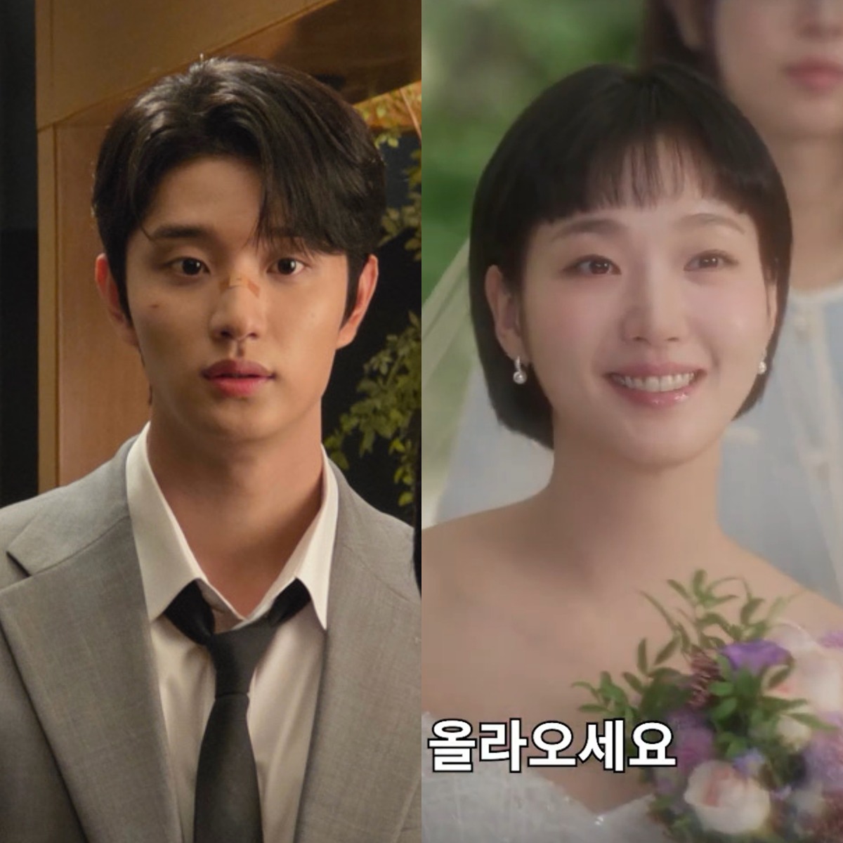 [잡담] 유미의세포들3) 이거 결혼 준대...? | 인스티즈