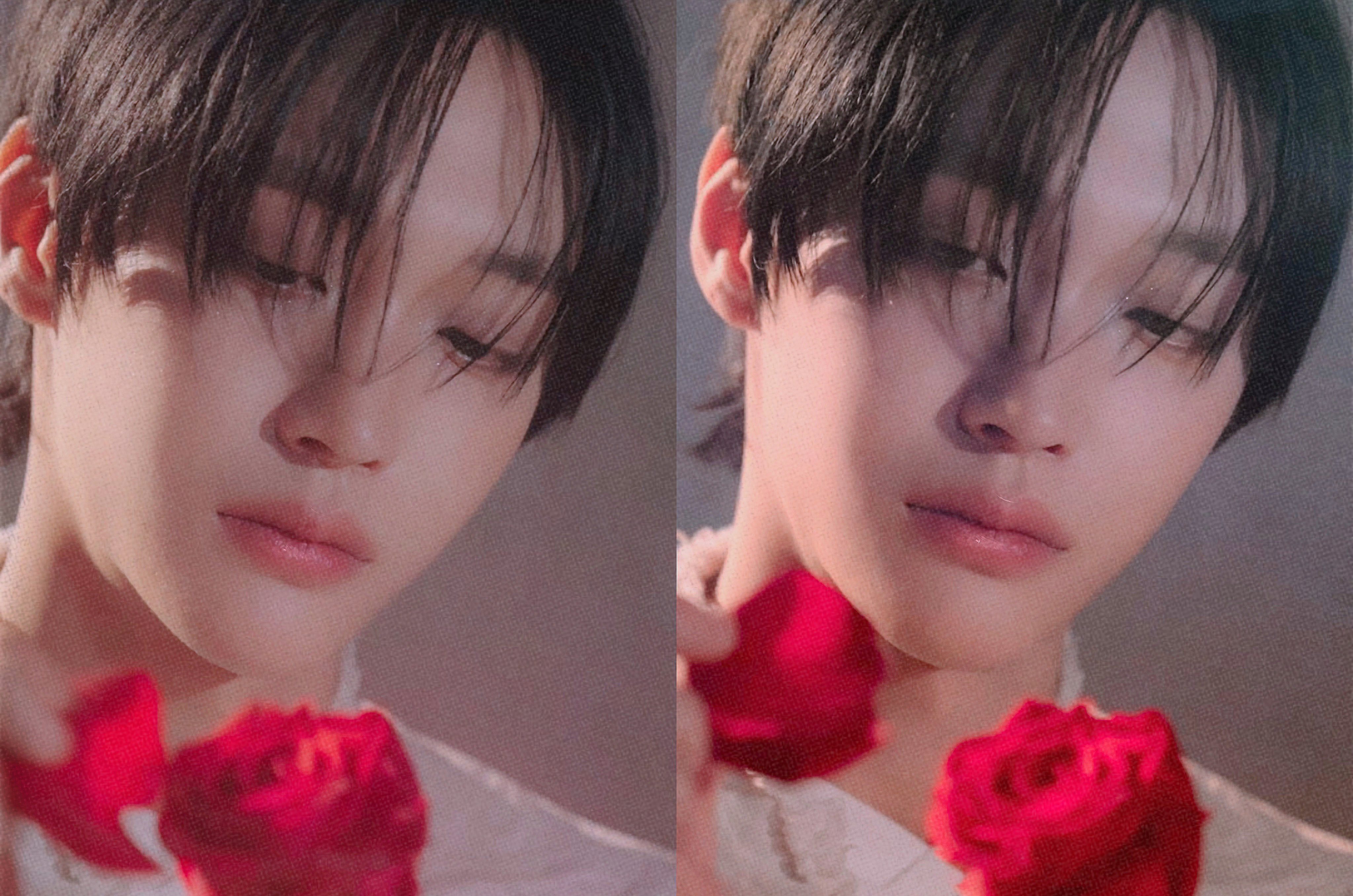 [잡담] 장미랑 잘 어울리는 남자 (ㅈㅇ원빈) | 인스티즈