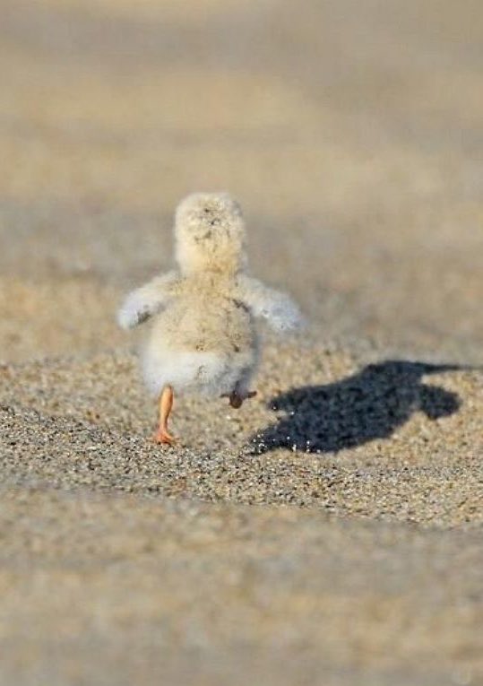 [잡담] 변우석) #이거변우석 | 인스티즈