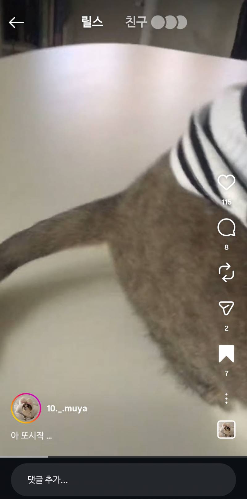 [잡담] 아니 얘가 11살이란게 믿어져?? | 인스티즈