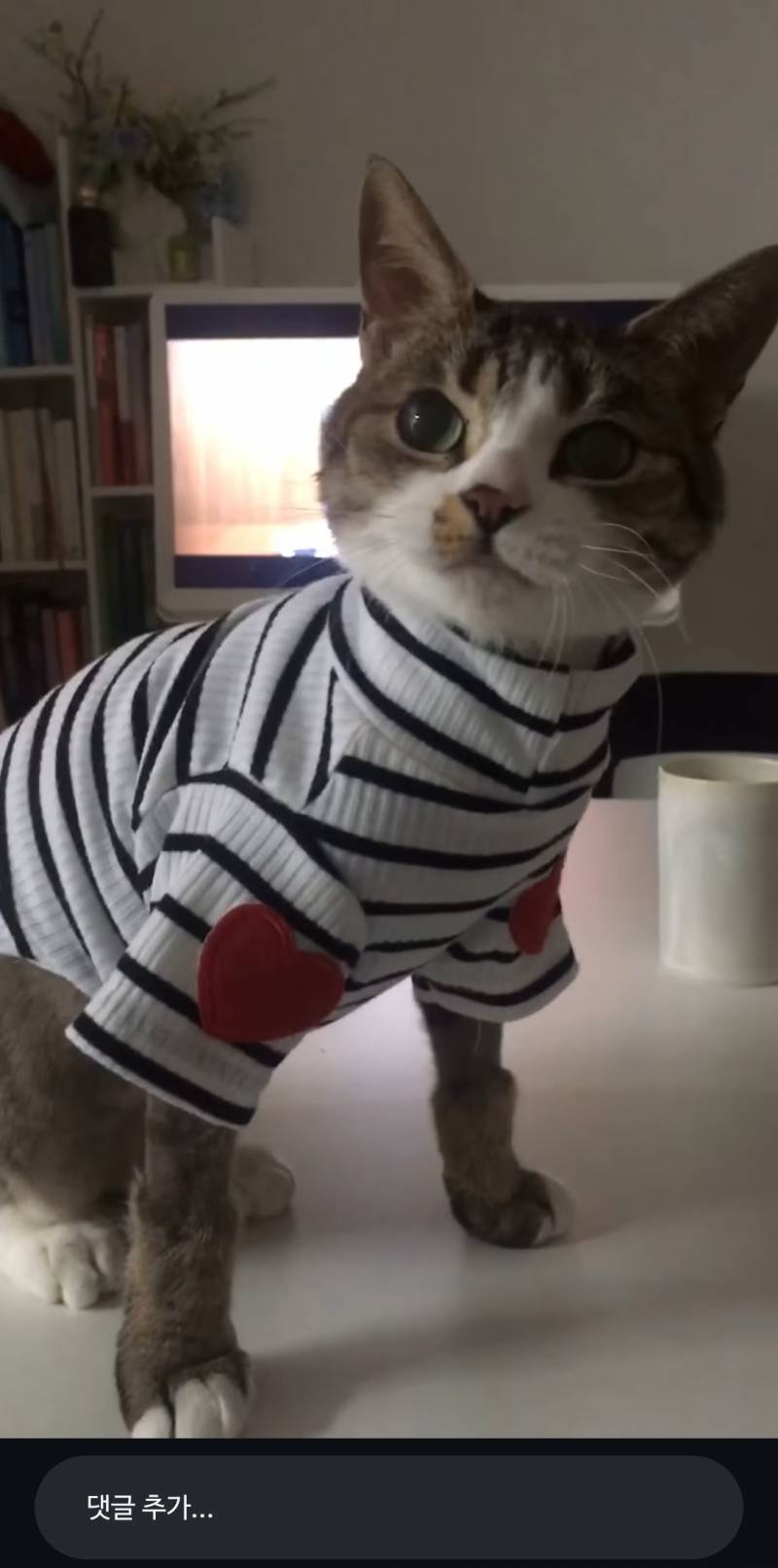 [잡담] 아니 얘가 11살이란게 믿어져?? | 인스티즈