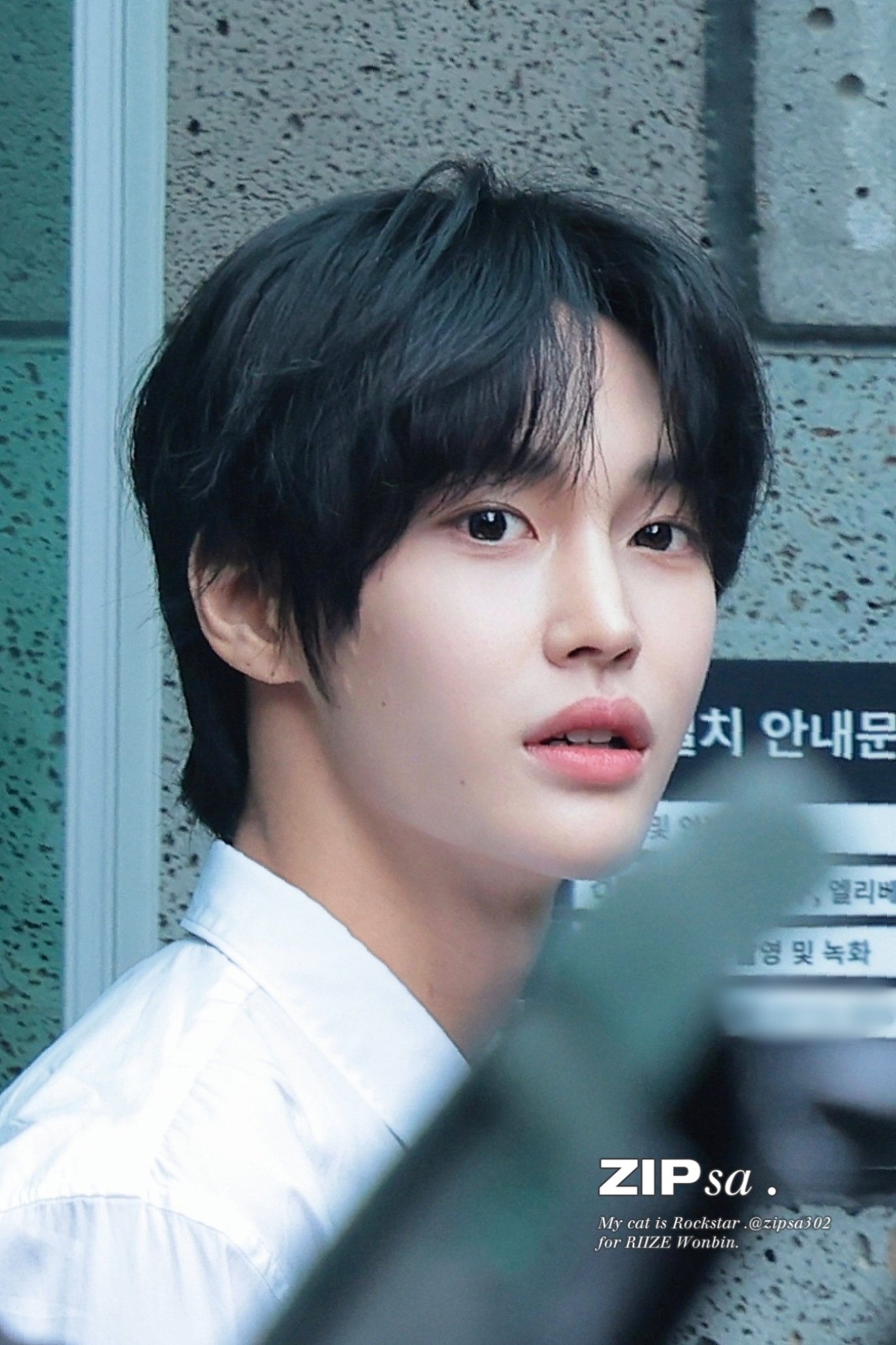 [잡담] 원빈이 좋아 | 인스티즈