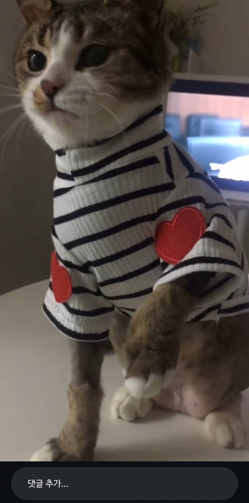 [잡담] 아니 얘가 11살이란게 믿어져?? | 인스티즈