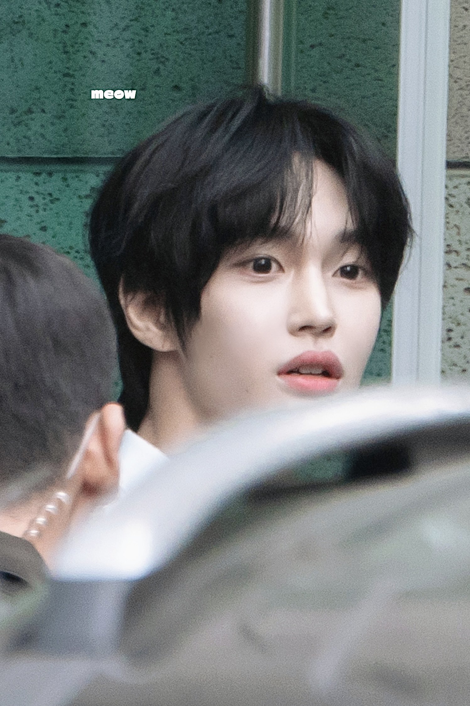 [잡담] 원빈이 좋아 | 인스티즈