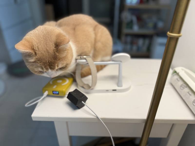 [잡담] 고양이 진짜 이해 안가는게 왜 굳이 불편하게 모서리에 앉는걸까 | 인스티즈