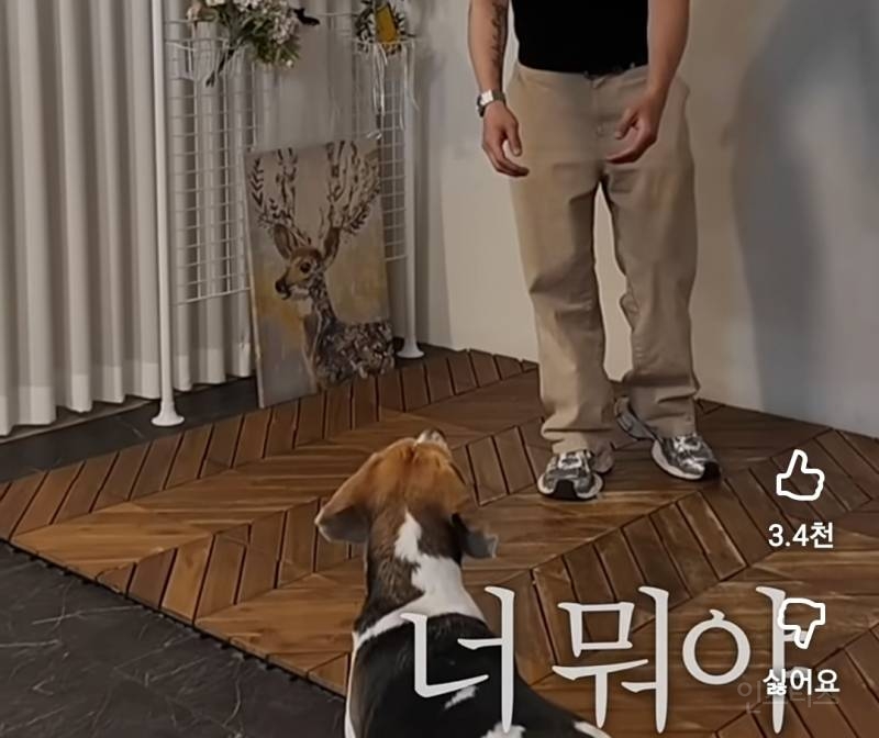은은하게 돌아있는(p) 이창섭 개호감..jpg | 인스티즈