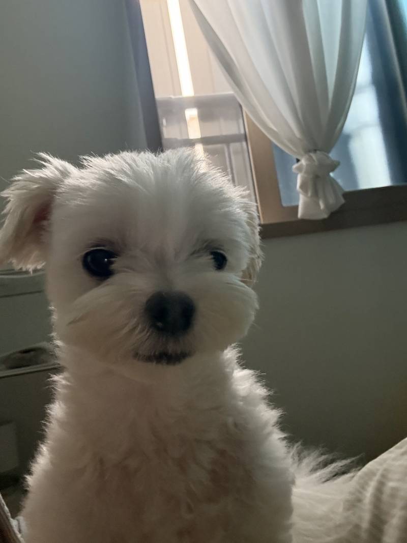 [잡담] 약간...포켓몬같이 나왔다 | 인스티즈