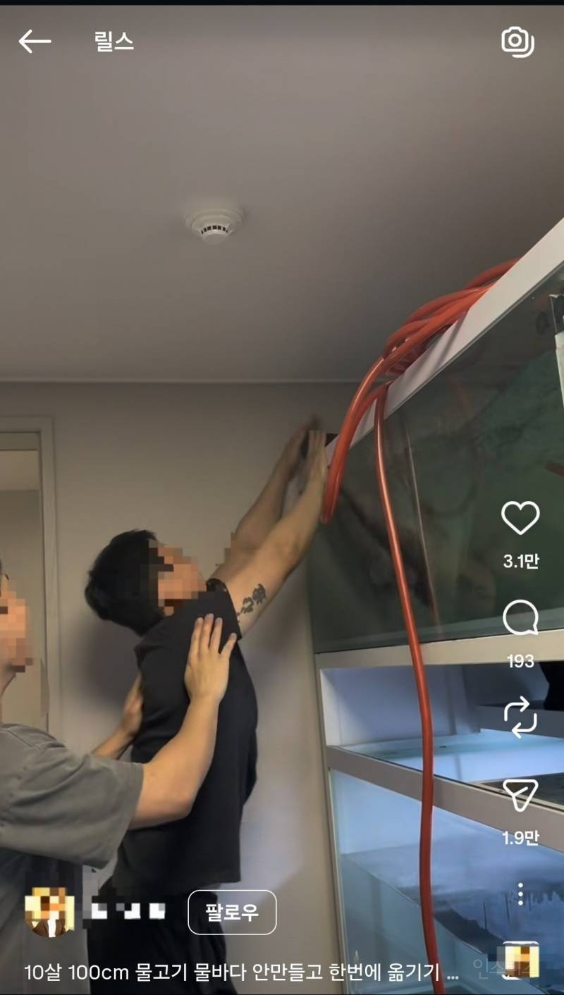아파트에 2톤짜리 어항 설치한거 자랑하는 인스타 남성 | 인스티즈