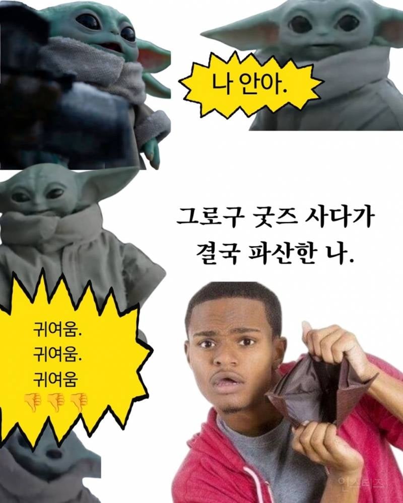 그로구 좋아하는 사람들 모여바 짤 턴다 | 인스티즈