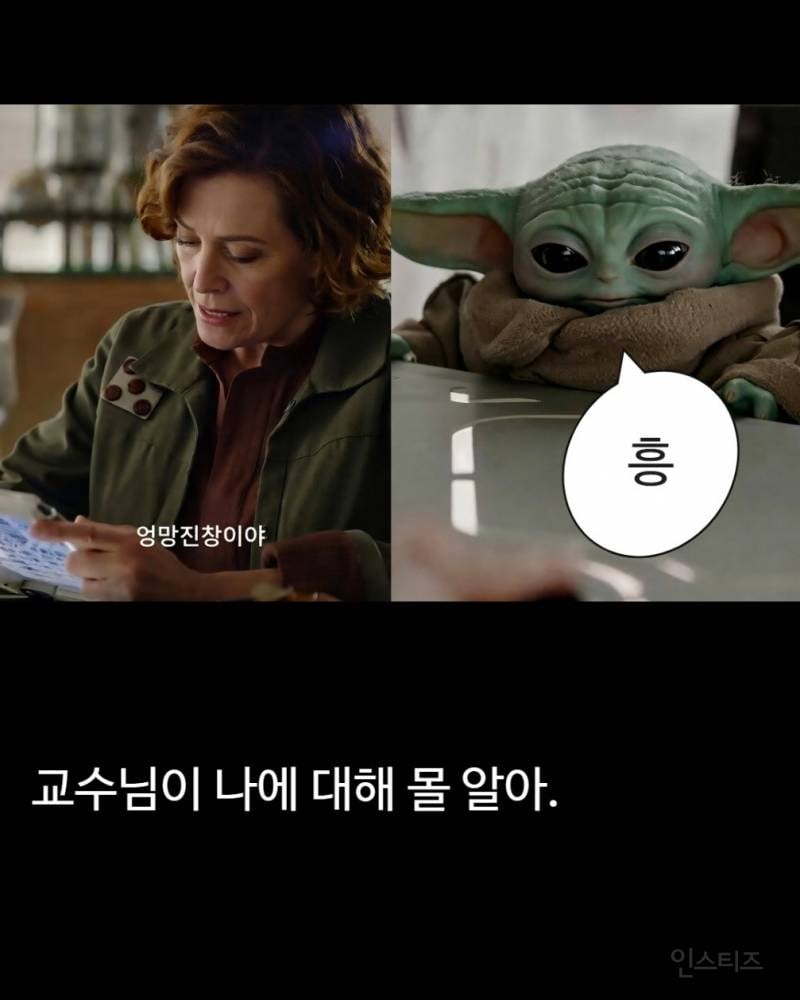 그로구 좋아하는 사람들 모여바 짤 턴다 | 인스티즈