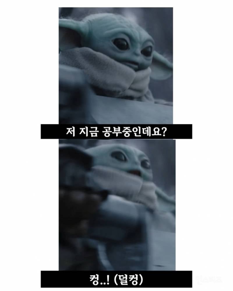 그로구 좋아하는 사람들 모여바 짤 턴다 | 인스티즈