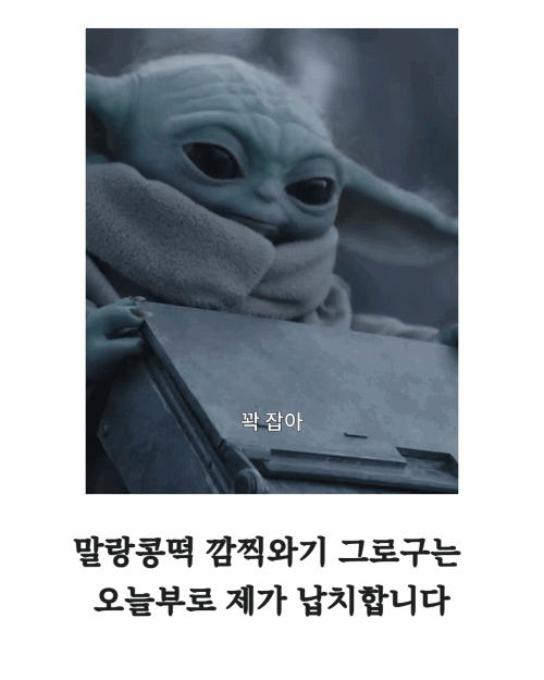 그로구 좋아하는 사람들 모여바 짤 턴다 | 인스티즈