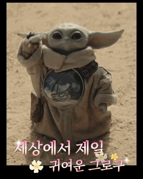 그로구 좋아하는 사람들 모여바 짤 턴다 | 인스티즈