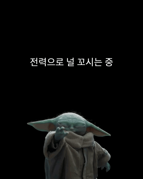 그로구 좋아하는 사람들 모여바 짤 턴다 | 인스티즈
