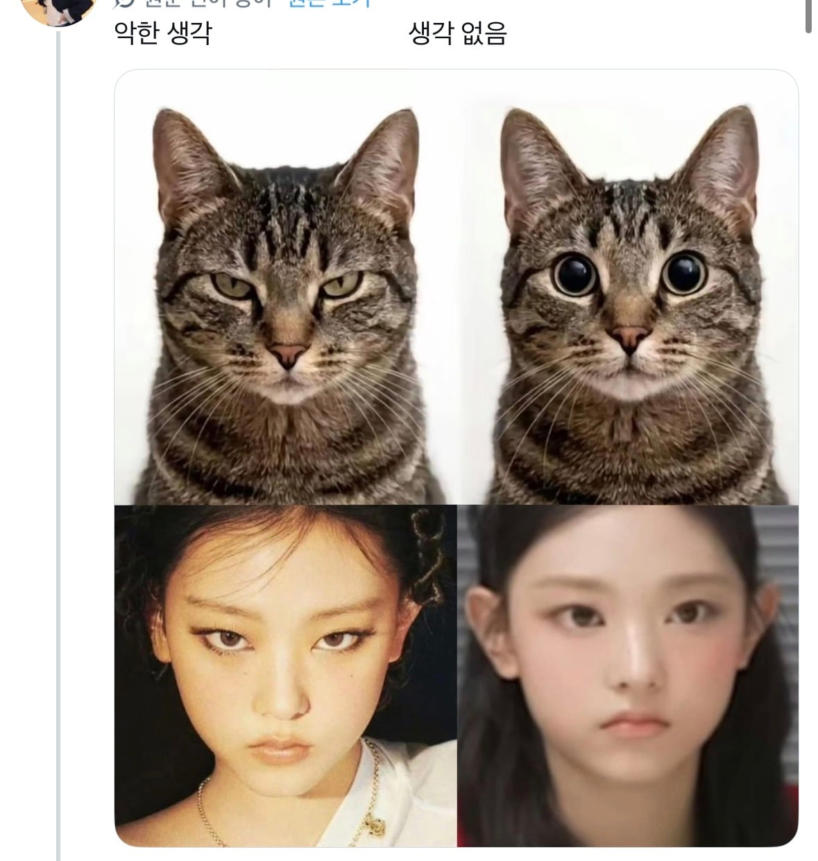 [잡담] 해린이 이 고양이를 어쩜 좋아 진짜 빨아묵어 | 인스티즈