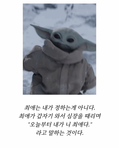그로구 좋아하는 사람들 모여바 짤 턴다 | 인스티즈