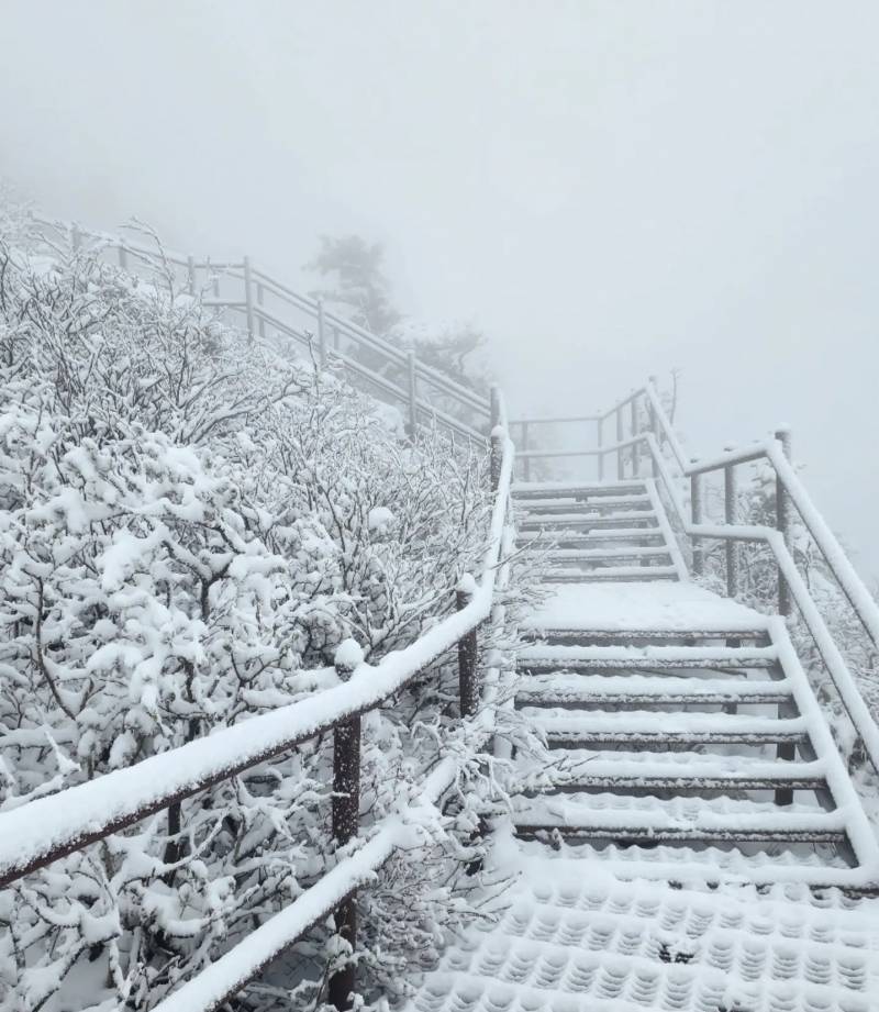 [잡담] 오늘자 설악산이라는데....... | 인스티즈