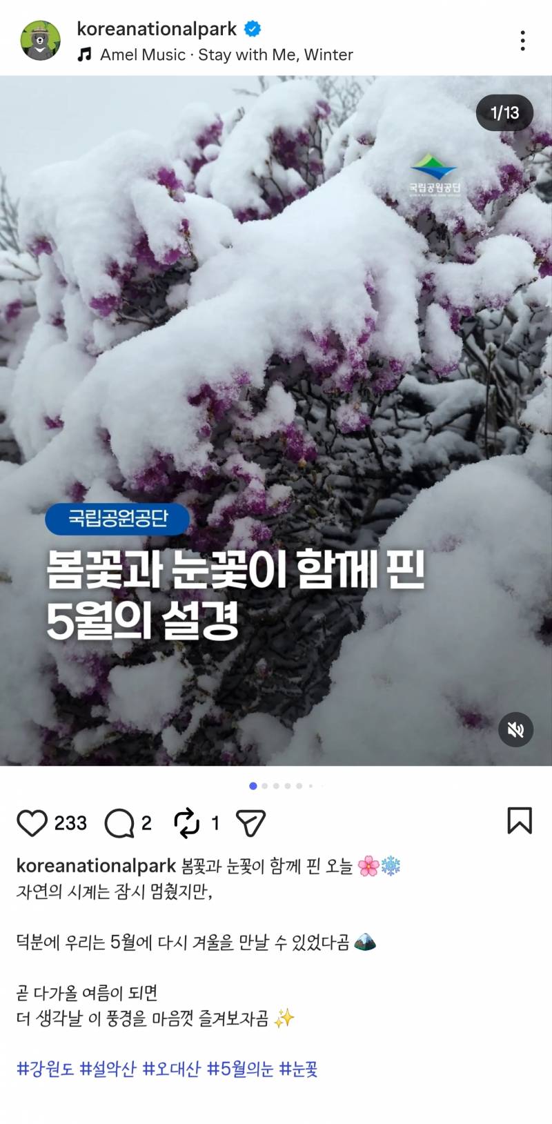 [잡담] 오늘자 설악산이라는데....... | 인스티즈