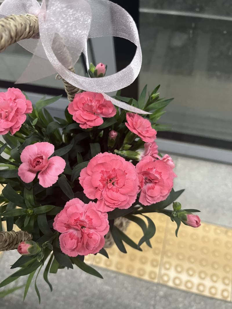 [잡담] 카네이션🌸 구매완료! | 인스티즈