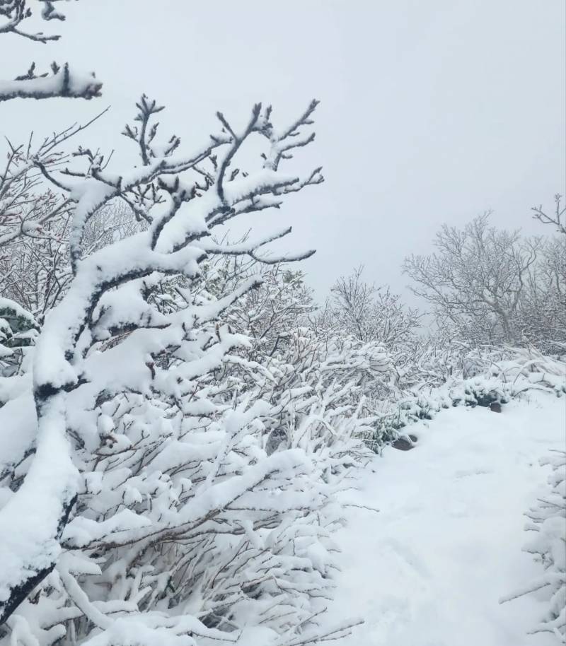 [잡담] 오늘자 설악산이라는데....... | 인스티즈