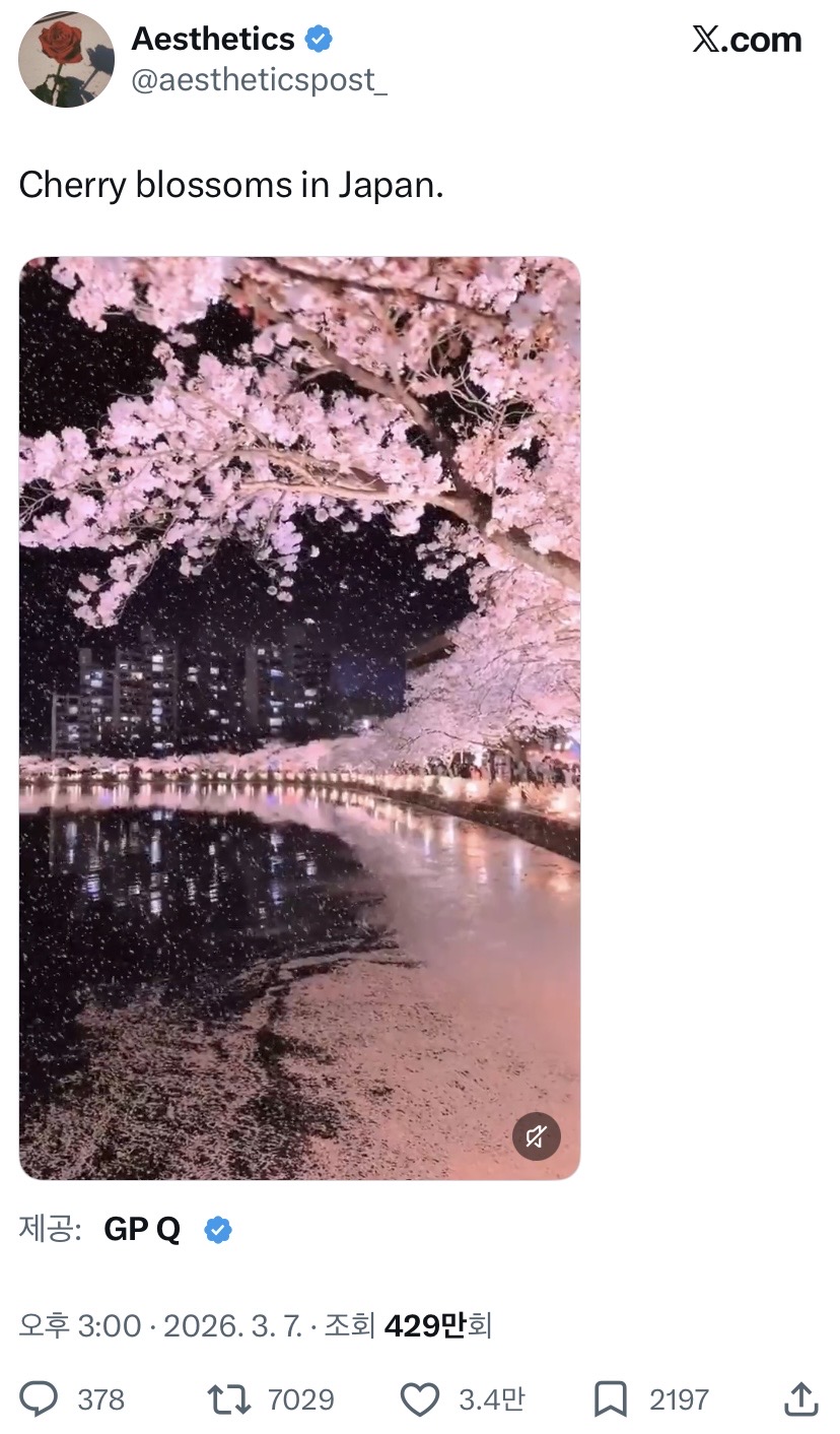 [잡담] 일본인들 왜 자꾸 우리나라꺼 가져가? | 인스티즈