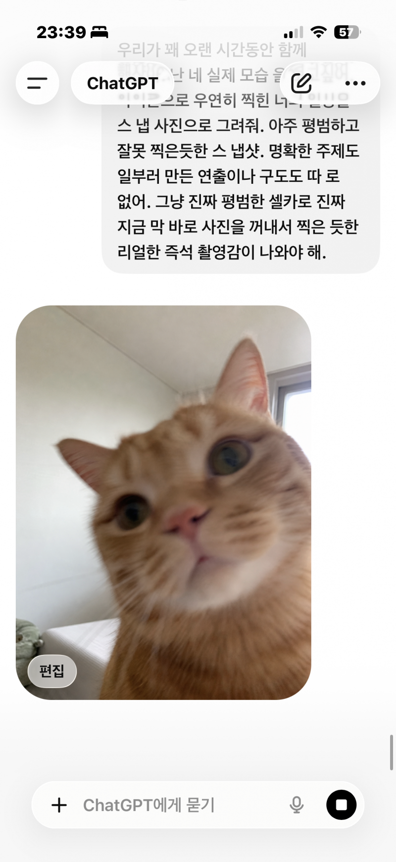 [잡담] 아니 나 지피티 유행하는 거 해달라했는데 ??? | 인스티즈