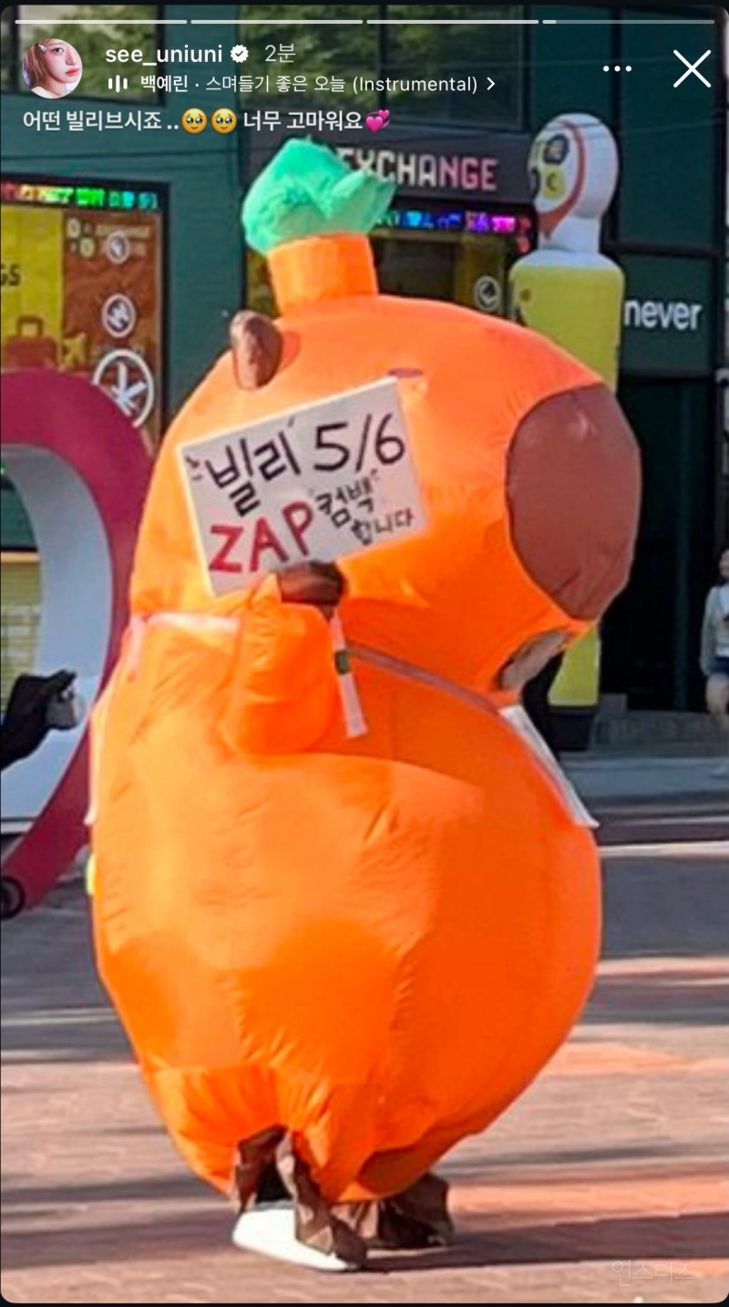 오늘자 홍대 휩쓸고 다닌 의문의 카피바라 정체.. | 인스티즈