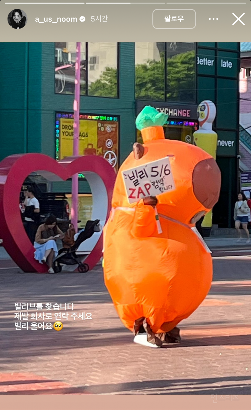 오늘자 홍대 휩쓸고 다닌 의문의 카피바라 정체.. | 인스티즈