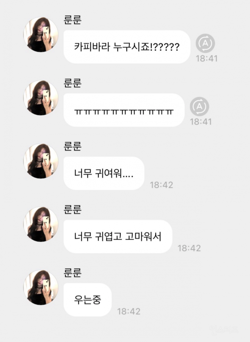 오늘자 홍대 휩쓸고 다닌 의문의 카피바라 정체.. | 인스티즈
