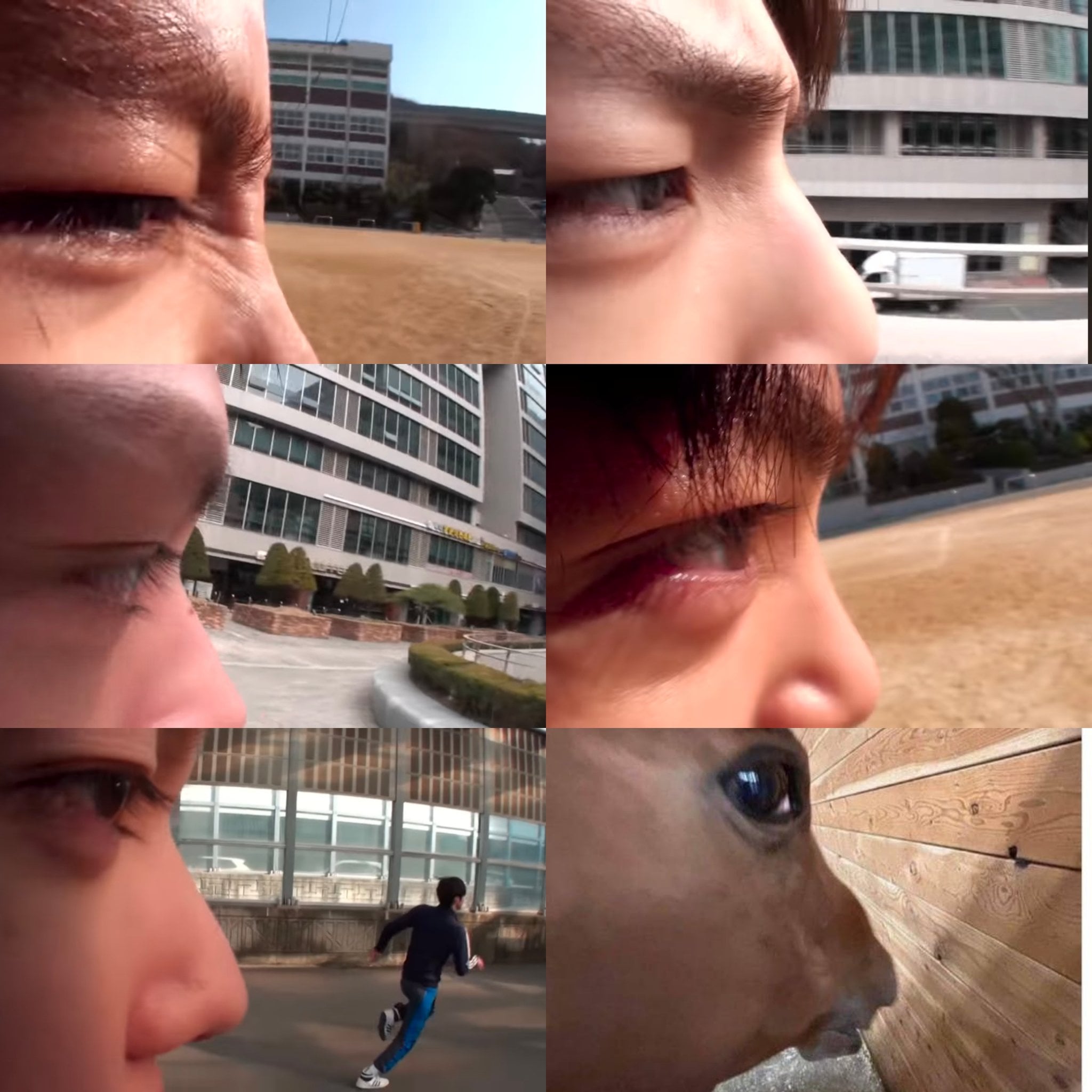 [잡담] 코르티스 6번째 멤버 | 인스티즈