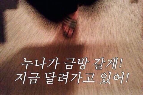 [OnAir] 유미의세포들3) 누나누나누나누나누나누나누나누나 | 인스티즈