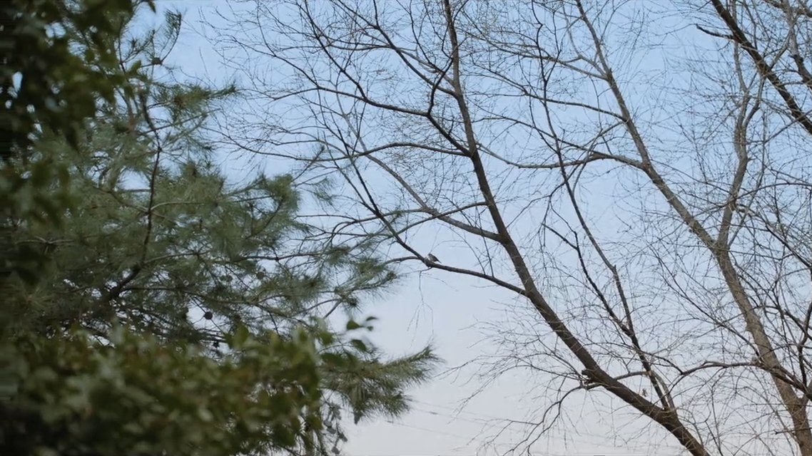 [잡담] 모자무싸 동만이형 얘기 폭력적이다 (ㅅㅍ) | 인스티즈