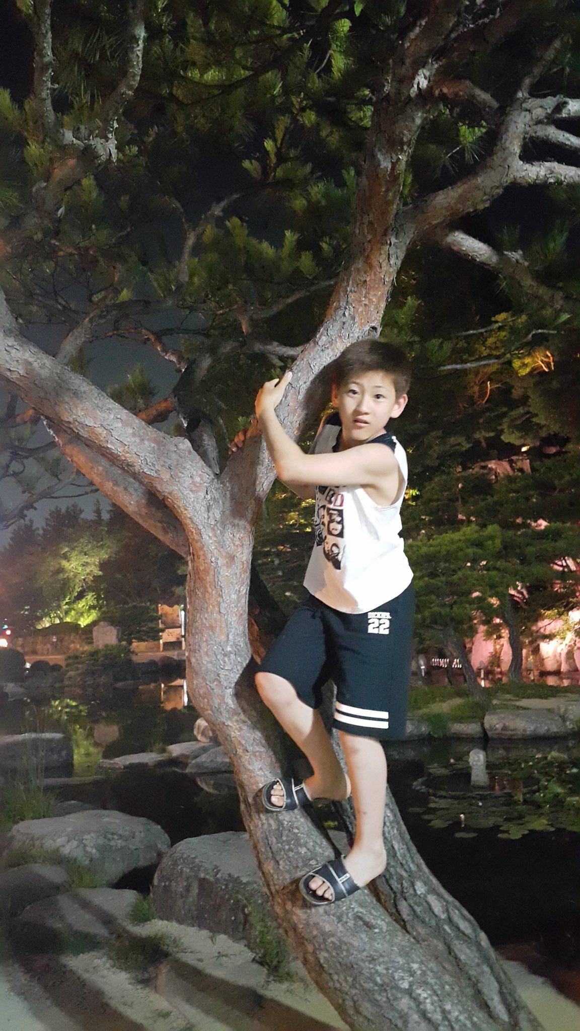 [잡담] 계숭이다 | 인스티즈