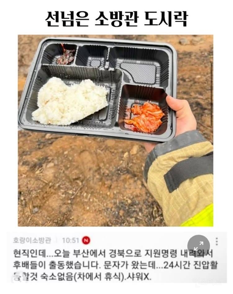 선넘은 소방관 도시락 | 인스티즈