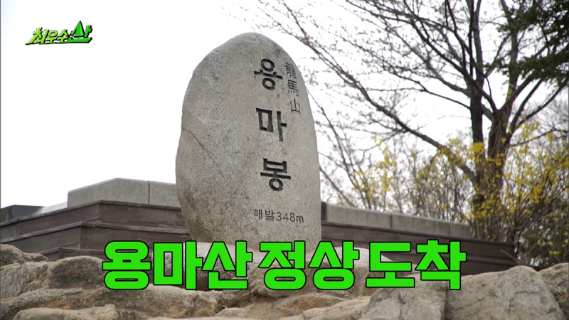 그 시절 무한도전 떠오른다는 MBC 신예능 | 인스티즈