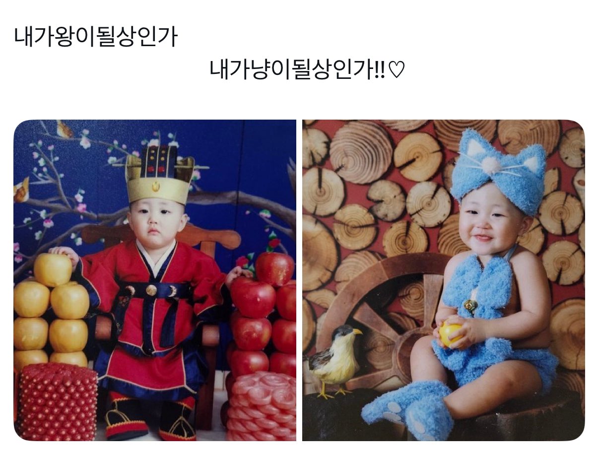 [잡담] 내가 왕이 될 상인가 내가 냥이 될 생인가 ㅋㅋㅋㅋ ㅈㅇ 원빈 | 인스티즈
