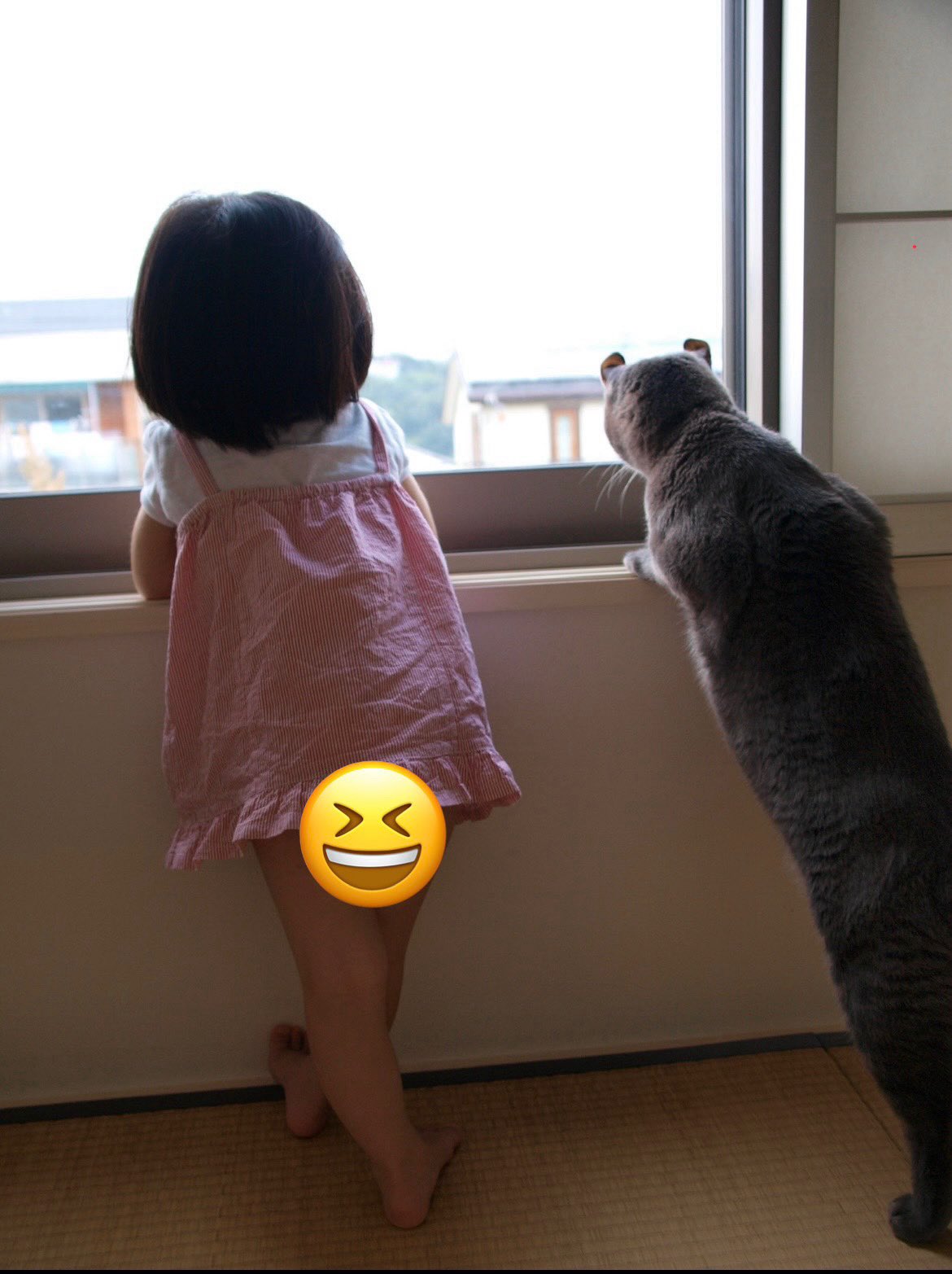 [잡담] 로하 뉴 애기사진 너무 귀엽다.. 내가 낳을걸 | 인스티즈