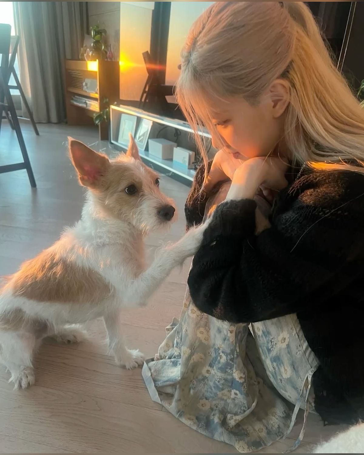 [잡담] 로제네 행크 어린이날 생일이야🐶 | 인스티즈