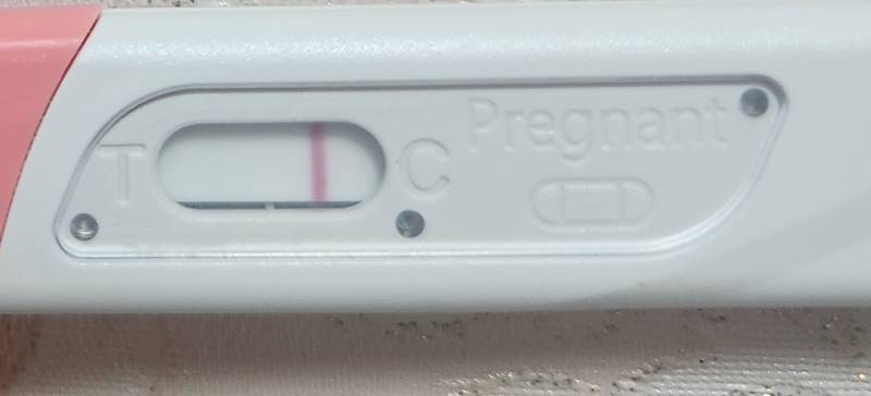 [잡담] 진짜 미안해 임테기 한줄인지 다시 봐줄수있을까 | 인스티즈