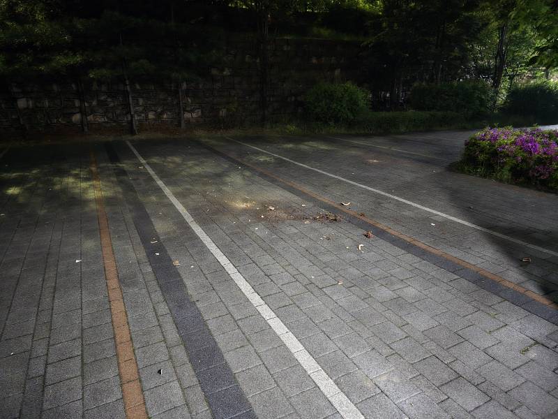 [잡담] 남편 집나가서 찾으러 나갔다 화분맞아 죽을뻔함 | 인스티즈