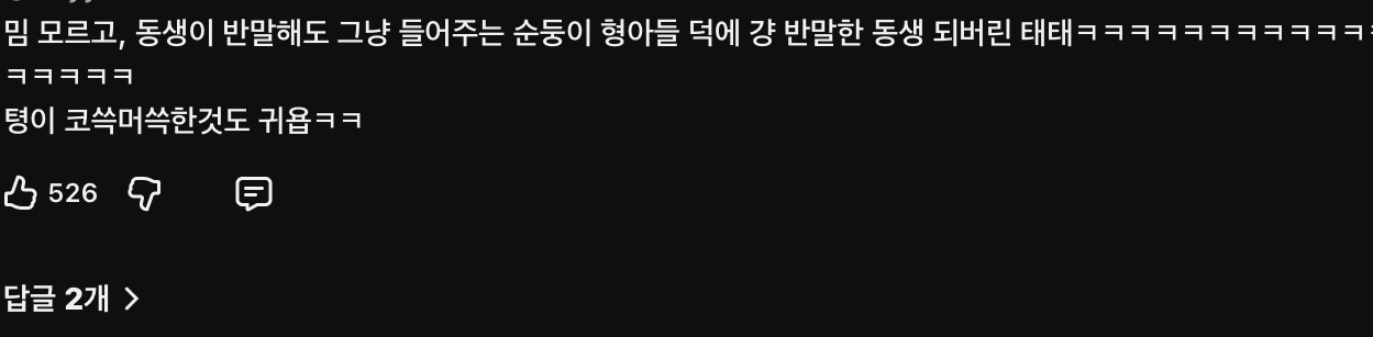 [잡담] 밈 모르는 형한테 드립쳤다가 그냥 반말한 동생 된 방탄 뷔 | 인스티즈