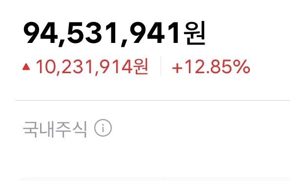 [잡담] 주린이 올해 주식에 7700만원넣은거 9400됐거든 | 인스티즈