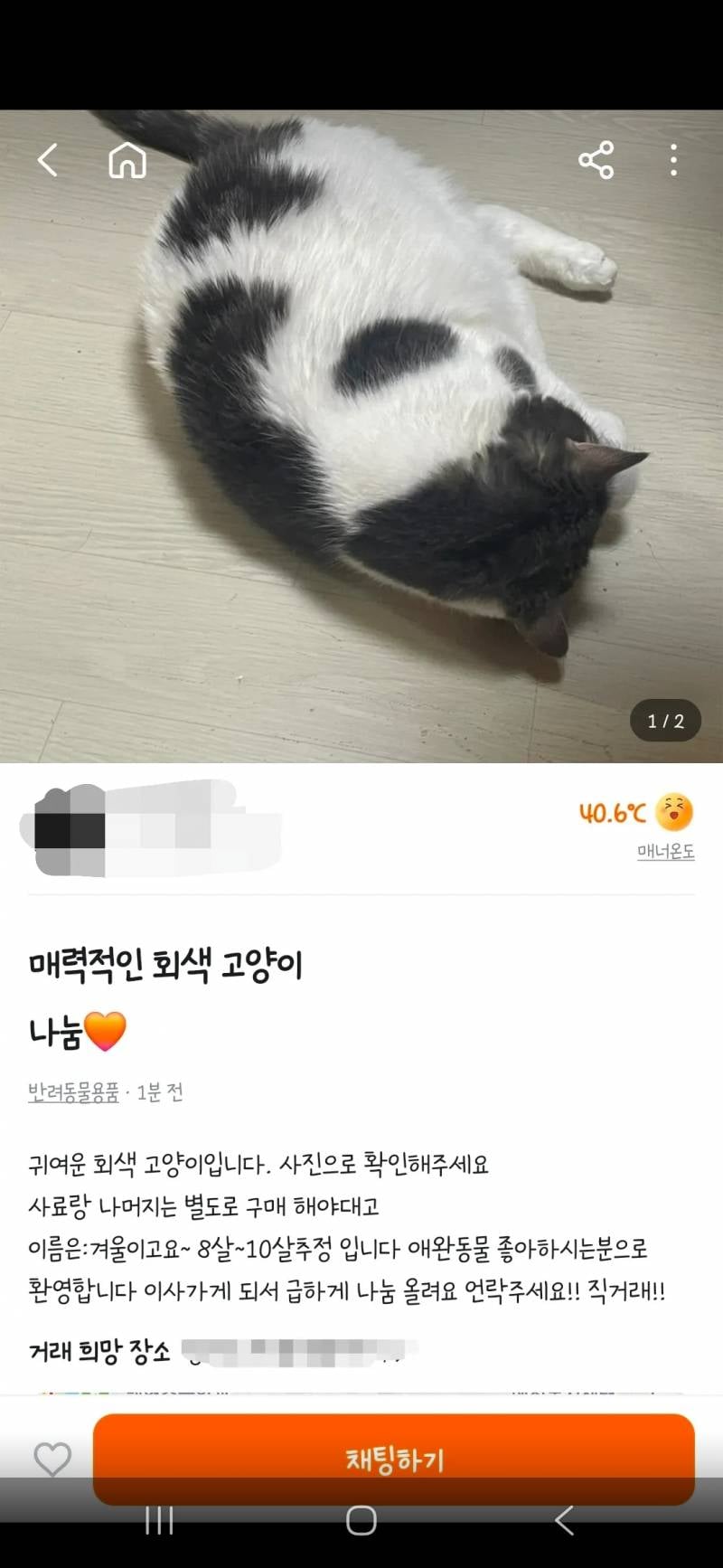 [잡담] 고양이 무료나눔글이래 | 인스티즈