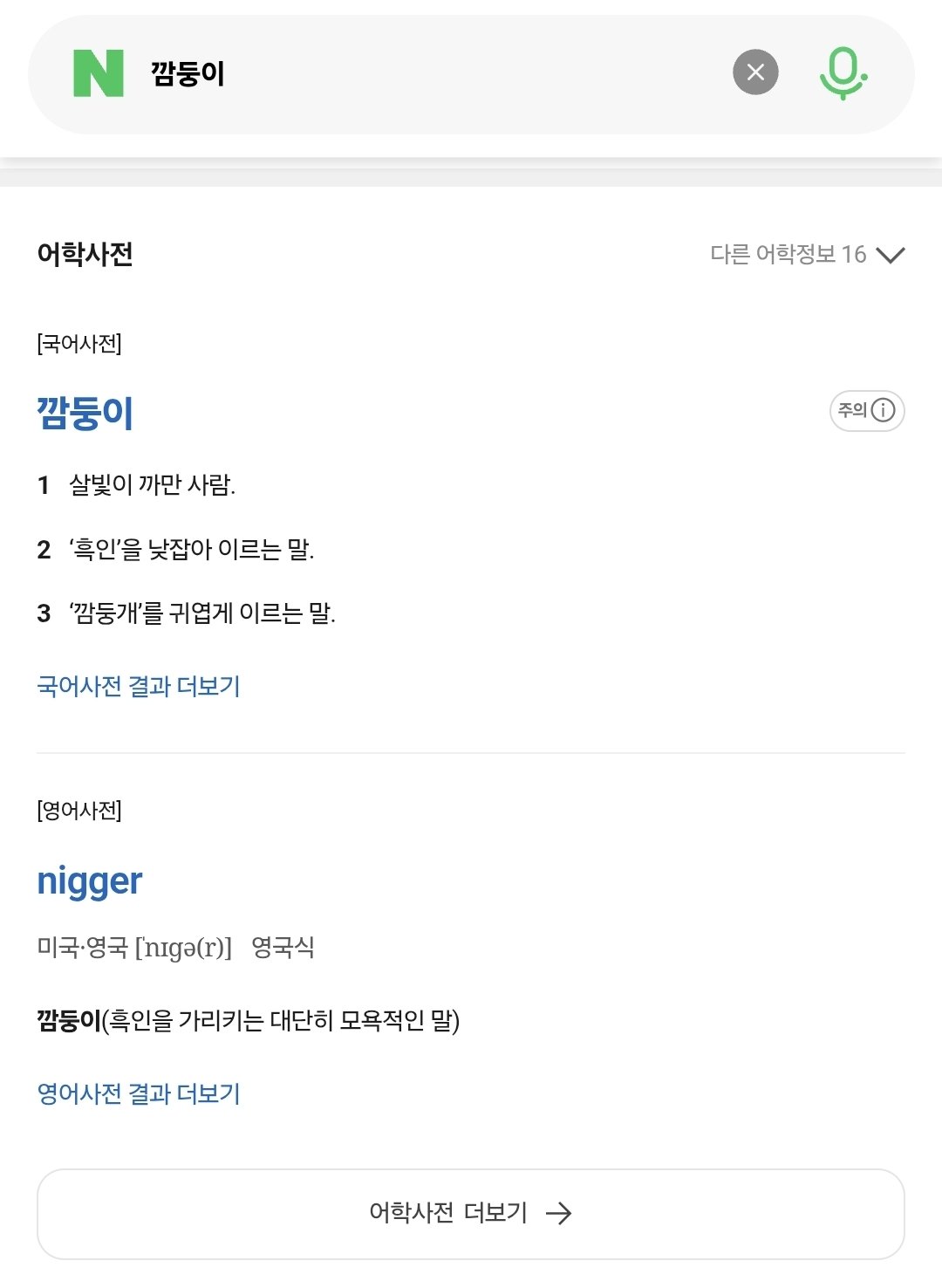 [잡담] 깜둥이 비하발언 맞다고 국어사전 가져오는데 | 인스티즈