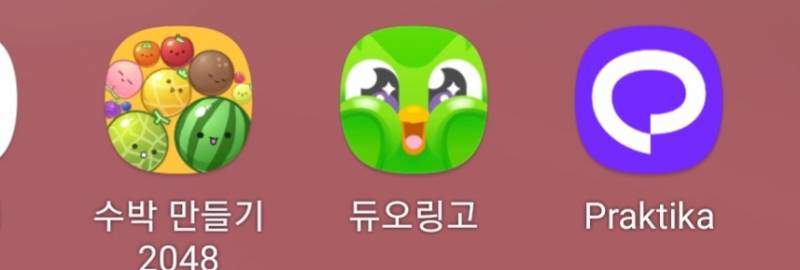 [잡담] 내 듀오링고 봐 이런 표정도 짓는구나 | 인스티즈
