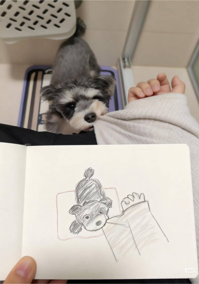 [잡담] 나 이정도의 그림 실력을 가지고 싶어 | 인스티즈