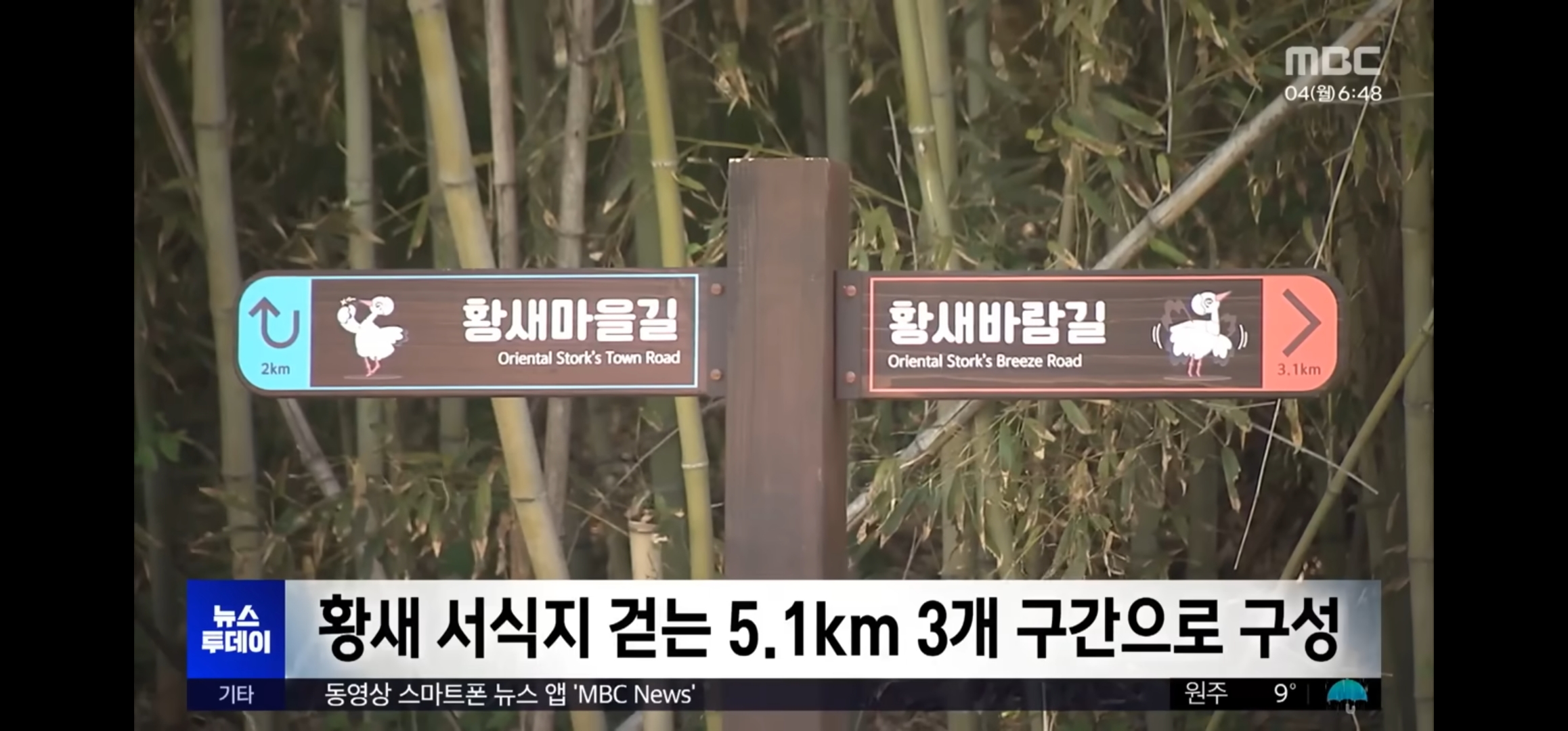 [잡담] 살목지 국가생태탐방로 된거 개웃기네ㅋㅋㅋㅋㅋㅋ | 인스티즈