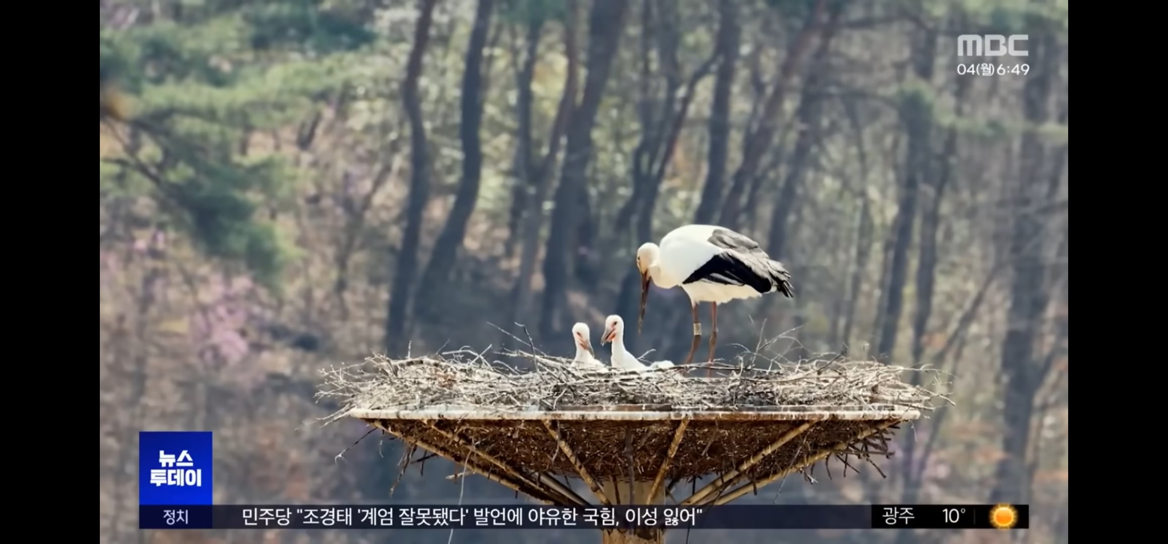 [잡담] 살목지 국가생태탐방로 된거 개웃기네ㅋㅋㅋㅋㅋㅋ | 인스티즈